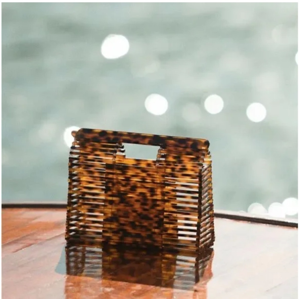 Anthropologie Caged Lucite Basket Bag - NWT